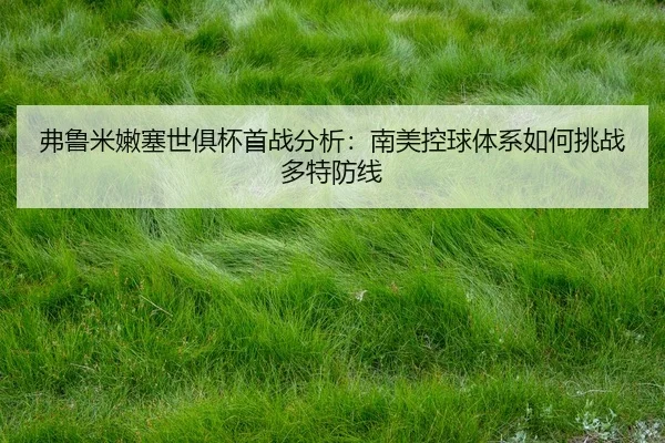 弗鲁米嫩塞世俱杯首战分析：南美控球体系如何挑战多特防线