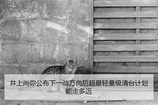 井上尚弥公布下一战方向后超最轻量级清台计划能走多远