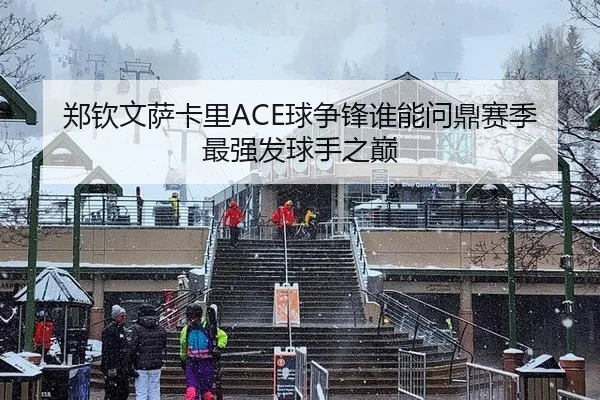 郑钦文萨卡里ACE球争锋谁能问鼎赛季最强发球手之巅